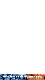 DMB_Portrait_1080x1920_BAKERY_2016_03_23_043545.jpg